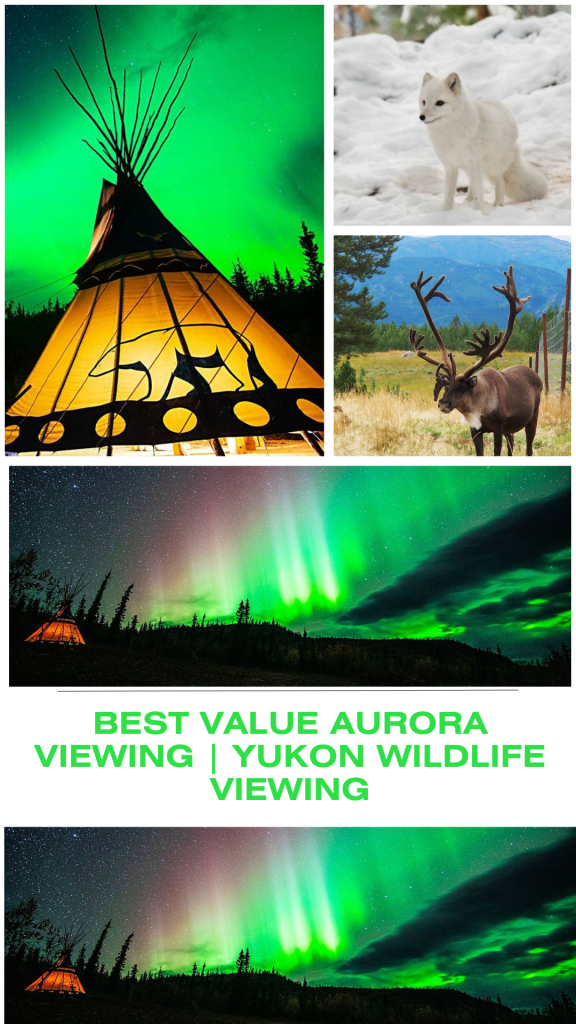 Best Value Aurora Viewing | Yukon Wildlife Viewing