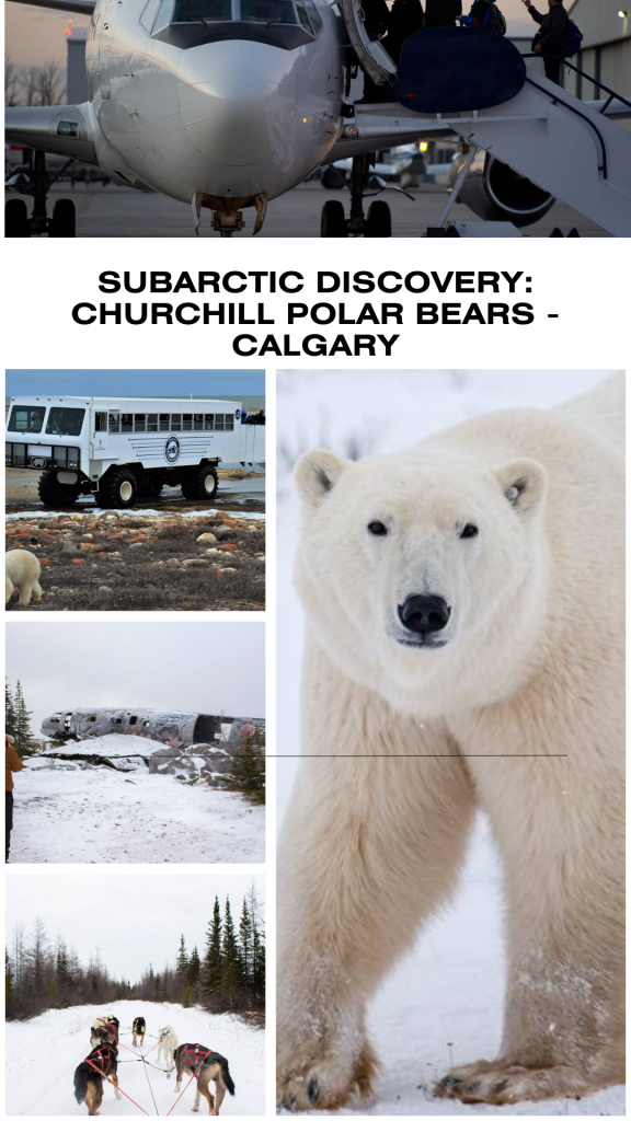 Subarctic Discovery: Churchill Polar Bears - Calgary